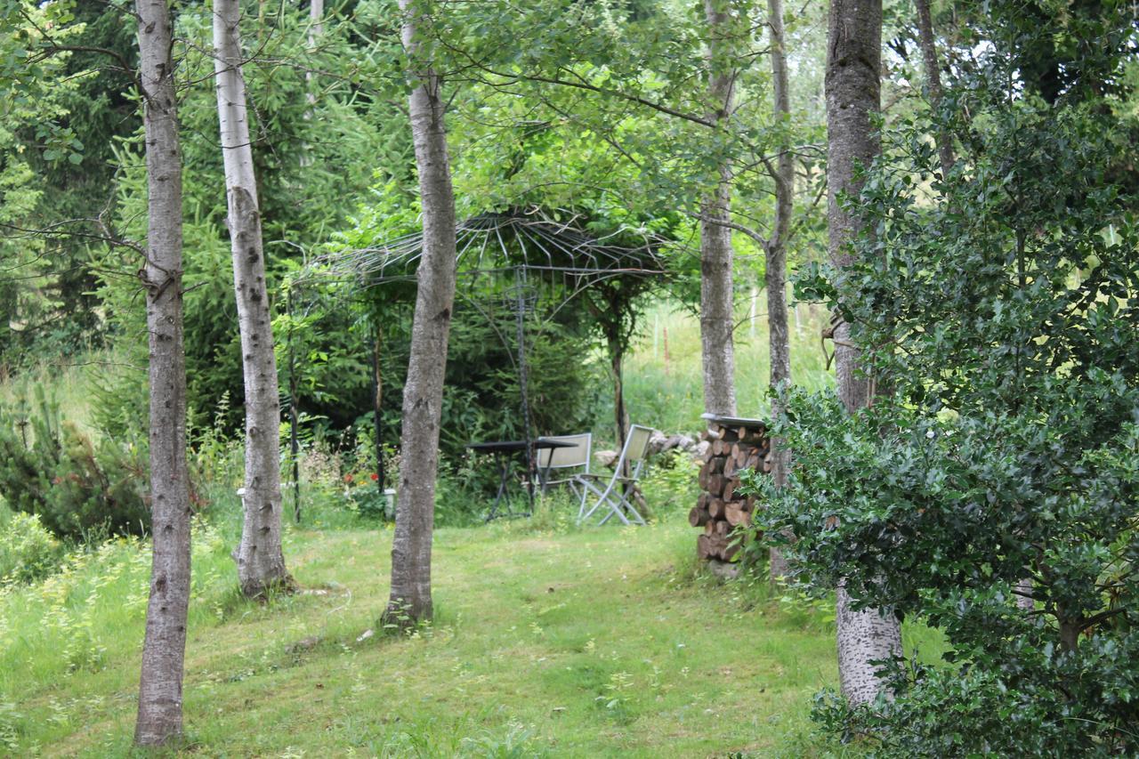 Leidzgi B&B Safenwil Zewnętrze zdjęcie